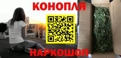 сатива Жуковский