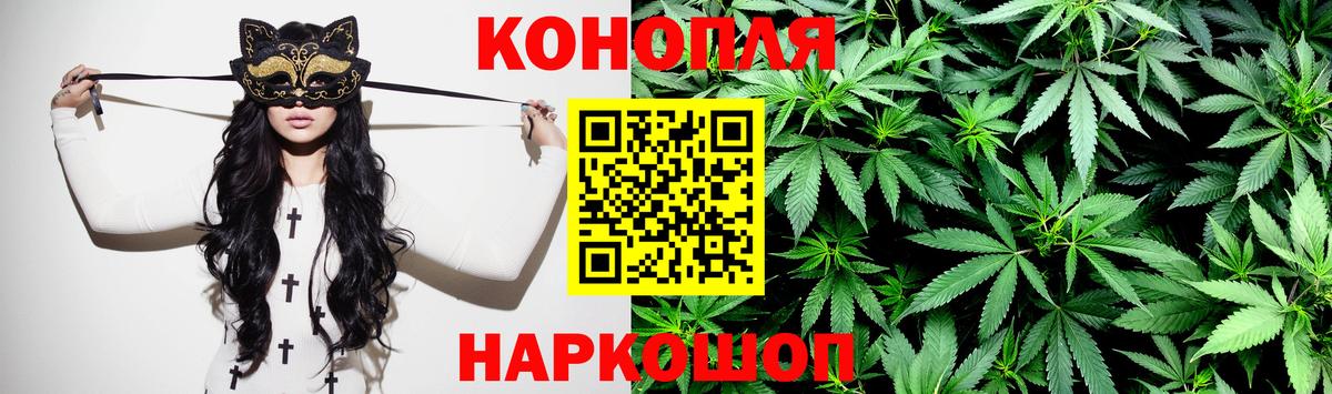 Бошки Шишки план Майский